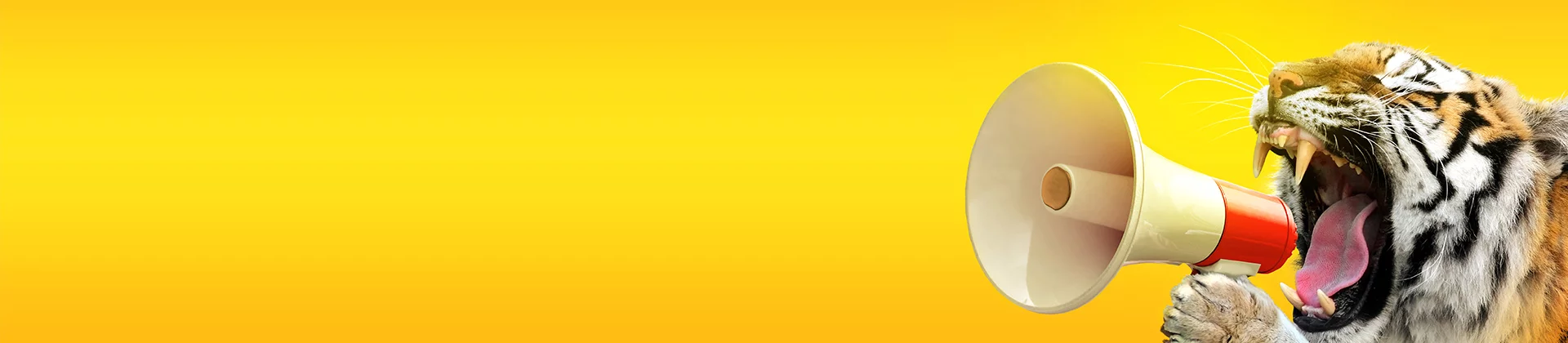 header-alternanced.jpg