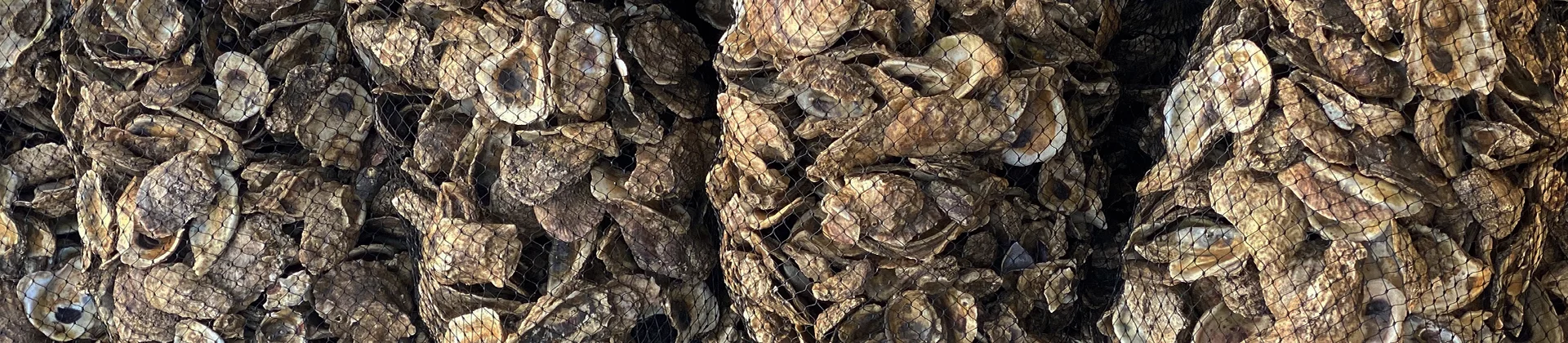header-conchyliculture.jpg